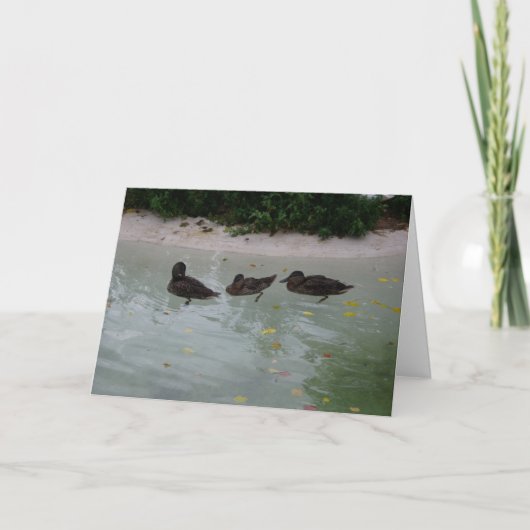 carte de remerciements "Trois Canards" (Devant)