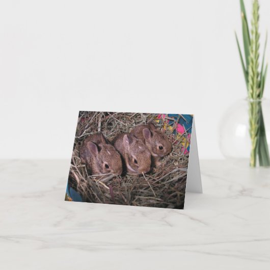 Carte De Remerciements Trois d'Affilée (Devant)