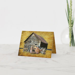 Carte De Remerciements Trois Petits Cochons À La Grange Rustique Snoozing