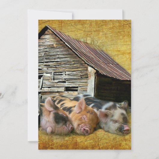 Carte De Remerciements Trois Petits Cochons À La Grange Rustique Snoozing (Devant)