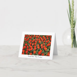 Carte De Remerciements Tulip Blank All Occassion Folded Greeting Card
