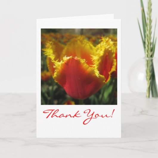 Carte de remerciements Tulipe de feu (Devant)