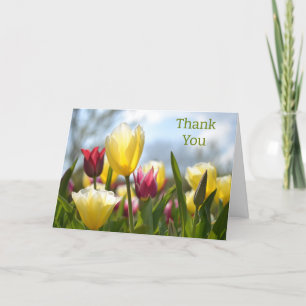Carte De Remerciements Tulipes rouges, jaunes et roses au soleil