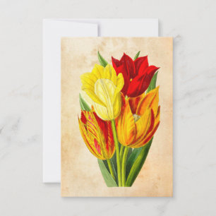 Carte De Remerciements Tulipes vintages