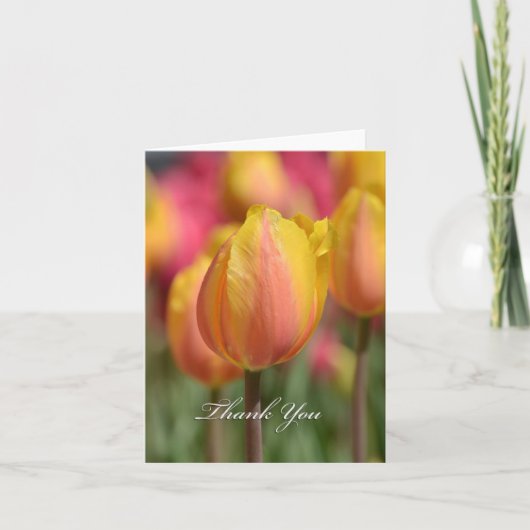 Carte De Remerciements Tulips (Devant)