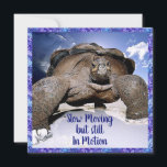 Carte De Remerciements Turtle - Funny Birthday Card<br><div class="desc">Une petite carte mignonne vous permet de mettre une chaise et de la placer sur un manteau ou un bureau.</div>