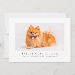 Carte De Remerciements Un Animal De Compagnie De Photo Moderne Et Simple
