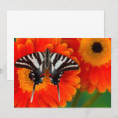 Carte De Remerciements Un papillon queue de zèbre (Devant / Derrière)