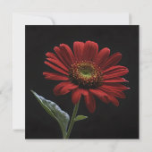 Carte De Remerciements Une Faisée Rouge Sur Le Côté Noir Gauche, (Dos)