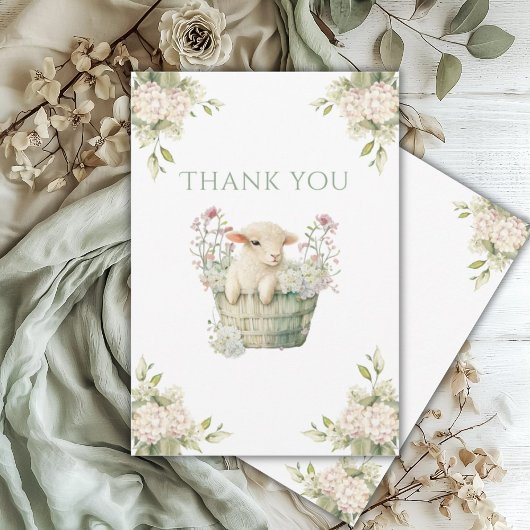 Carte De Remerciements Une Petite aquarelle Lambchop