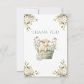 Carte De Remerciements Une Petite aquarelle Lambchop (Devant)