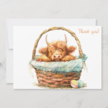 Vache Highland dans un panier