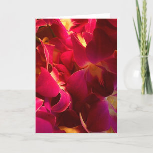 Carte De Remerciements Velvet