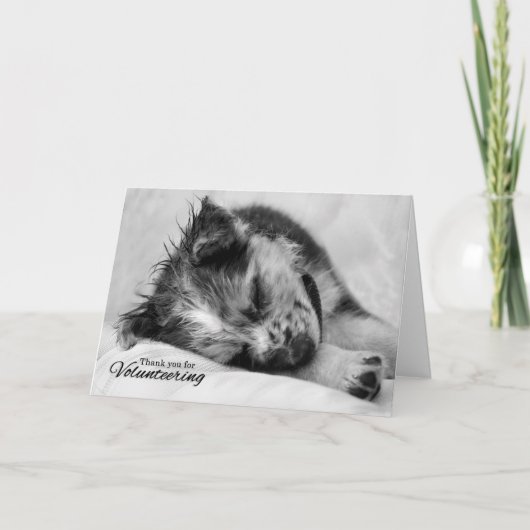 Carte De Remerciements Volunteer Cute Puppy Sleeping (Devant)