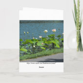 Carte De Remerciements Votre ~ 26 de message (Dos)