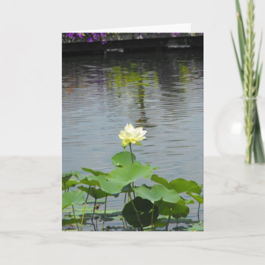 Carte De Remerciements Votre ~ 26 de message (Devant)