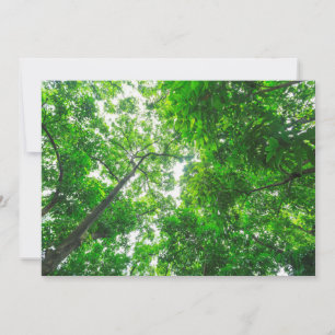 Carte De Remerciements Vue ascendante d'arbres