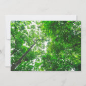 Carte De Remerciements Vue vers le haut des arbres (Devant)