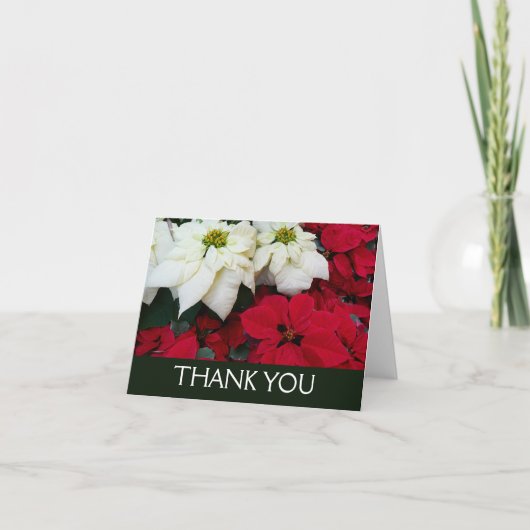 Carte De Remerciements White and Red Poinsettias (Devant)
