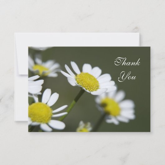 Carte De Remerciements White Daisers Thank You Notes - Flat (Devant)