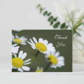 Carte De Remerciements White Daisers Thank You Notes - Flat (Debout devant)