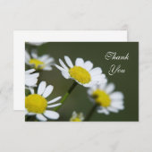 Carte De Remerciements White Daisers Thank You Notes - Flat (Devant / Derrière)