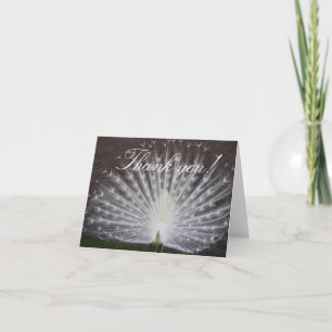 Carte De Remerciements White Peacock