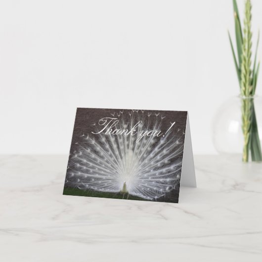 Carte De Remerciements White Peacock (Devant)