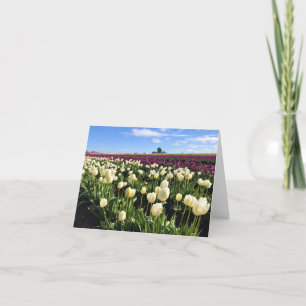 Carte De Remerciements White & Purple Tulip Field with Hot Air Balloon