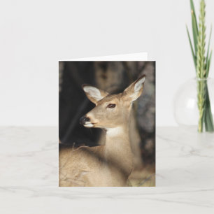Carte De Remerciements Whitetail Deer Notecard - Blank Inside