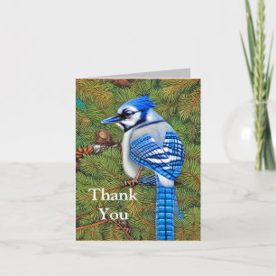 Carte De Remerciements Wilderness À feuillage persistant Blue Jay