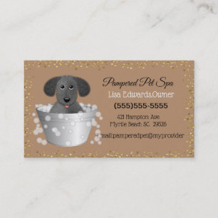 Carte De Rendez-vous Chien Grooming Chien Spa