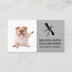 Carte De Rendez-vous Ciseaux Peigne Toiletteur pour chien