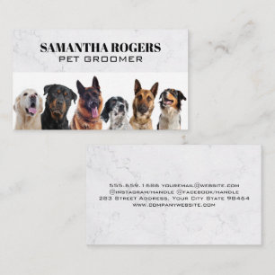 Carte De Rendez-vous Différents Chiens assis
