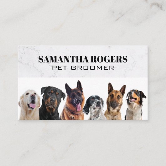 Carte De Rendez-vous Différents Chiens assis (Devant)