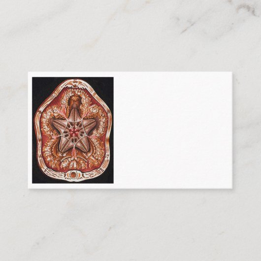 Carte De Rendez-vous Echinidea (Devant)