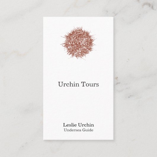 Carte De Rendez-vous Oursin chilien d'impression typographique (albus (Devant)