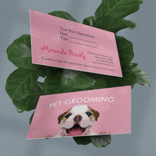 Carte De Rendez-vous Petit Pog Poy Soin pour animaux Grooming Alimentat