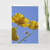 Carte de renoncules (Dos)