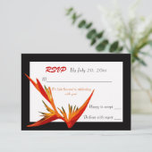 Carte de réponse blanche Bird of Paradise (Debout devant)