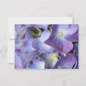 ©Carte de réponse Bluz Purple Hydrangea RSVP (Dos)