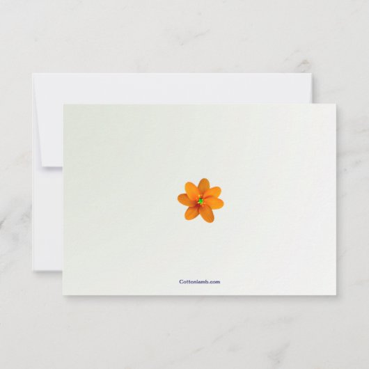 Carte de réponse Éclaboussure de couleur (Dos)