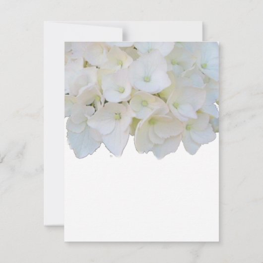 Carte de réponse Hydrangea blanche (Dos)
