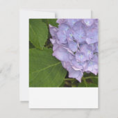 Carte de réponse Hydrangea RSVP (Dos)