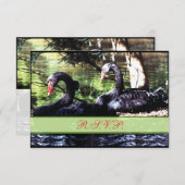 Carte de réponse Mates for Life Black Swans (Devant / Derrière)