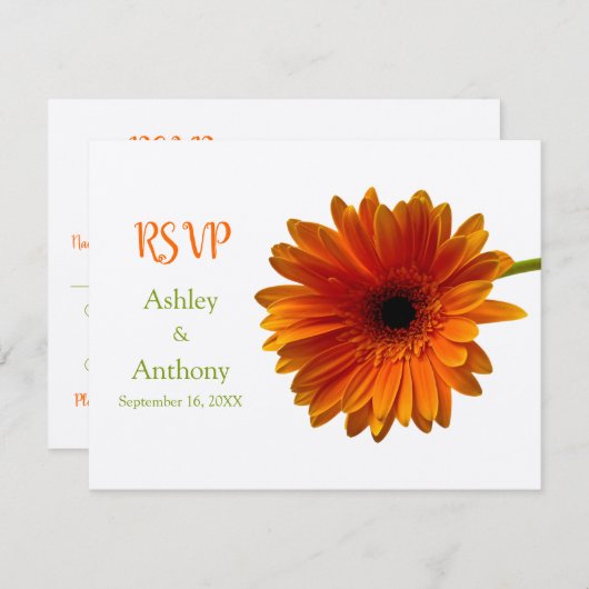 Carte de réponse Orange Gerbera Daisy (Devant / Derrière)