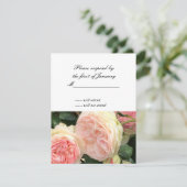 Carte de réponse Rose rose et crème (Debout devant)