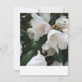 Carte de réponse RSVP à fleurs blanches (Dos)