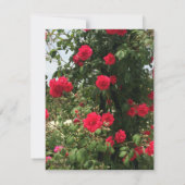 Carte de réponse RSVP Bouquet de roses rouges (Dos)