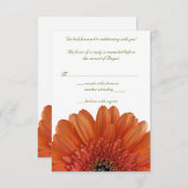 Carte de réponse RSVP de mariage avec gerbera oran (Devant / Derrière)